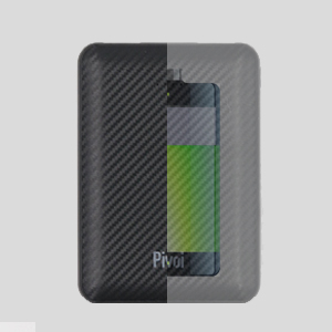 Pivoi 5000mAh Power Bank With Smart Dual USB Port