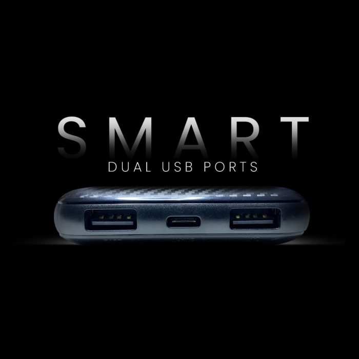 Pivoi 5000mAh Power Bank With Smart Dual USB Port