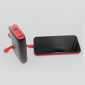 Pivoi 10000mAh Power Bank With Built-in Lightning Cable