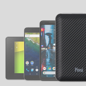 Pivoi 5000mAh Power Bank With Smart Dual USB Port